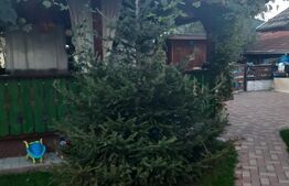 Casa 6 camere in Rasnov - Brasov