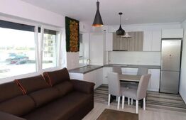 Apartament 2 camere tip studio, pietonala Kasper