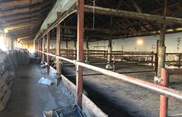 De vanzare Ferma & Abator 