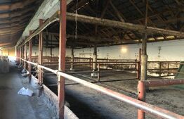 De vanzare Ferma & Abator 