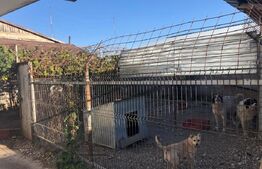 De vanzare Ferma & Abator 