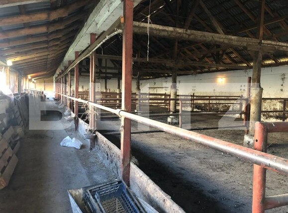 Spațiu industrial de vânzare Exterior Nord - 159964SVI | BLITZ Brașov | Poza8