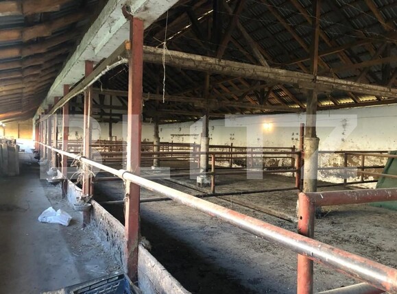 Spațiu industrial de vânzare Exterior Nord - 159964SVI | BLITZ Brașov | Poza5