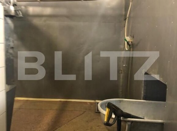 Spațiu industrial de vânzare Exterior Nord - 159964SVI | BLITZ Brașov | Poza10