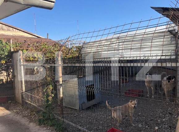 Spațiu industrial de vânzare Exterior Nord - 159964SVI | BLITZ Brașov | Poza4