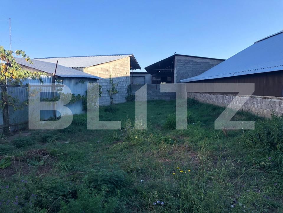 Spațiu industrial de vânzare Exterior Nord - 159964SVI | BLITZ Brașov | Poza6
