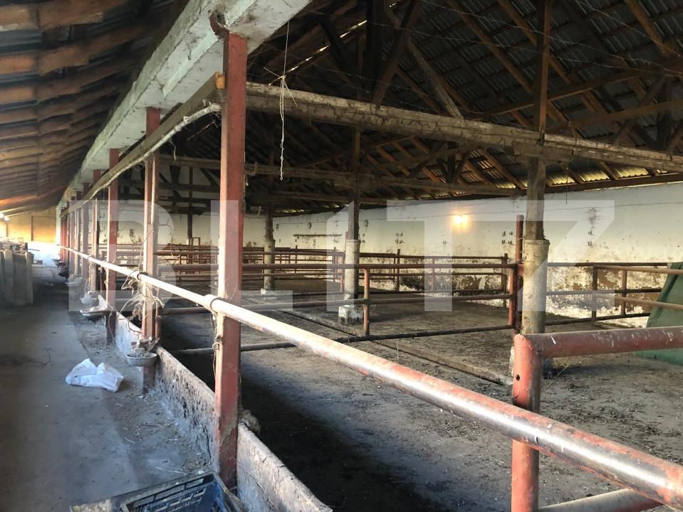 Spațiu industrial de vânzare Exterior Nord - 159964SVI | BLITZ Brașov | Poza5