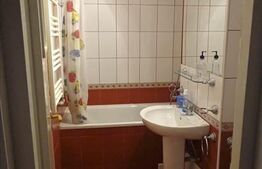 Apartament 2 camere, 48 mp, mobilat modern, zona Interservisan
