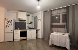 Apartament 2 camere, gradina, 50mp, parcare, terasa, zona Donath