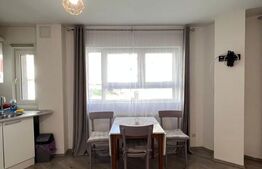 Apartament 2 camere, gradina, 50mp, parcare, terasa, zona Donath
