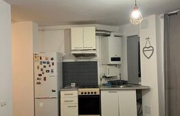 Apartament 2 camere, gradina, 50mp, parcare, terasa, zona Donath