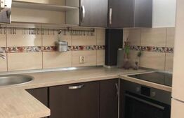 Garsoniera de inchiriat, 30 mp, zona strazii Detunata