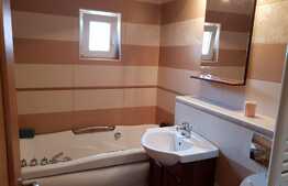 Apartament luminon cu 3 camere, 65 mp, decomandat, balcon, zona Profi