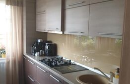 Casă cu 4 camere de vânzare în Gilău