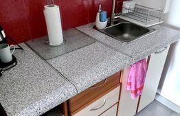 Garsoniera la casa, Aer condiționat, zona Skoda, Calea Turzii