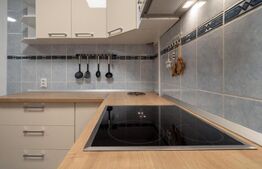 Apartament, 50mp, Curte, 2 Parcari ,Pet friendly, zona Ira