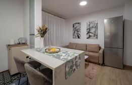 Apartament, 50mp, Curte, 2 Parcari ,Pet friendly, zona Ira