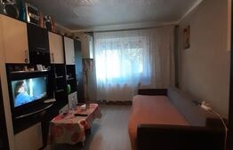 Camera de camin in Brasov