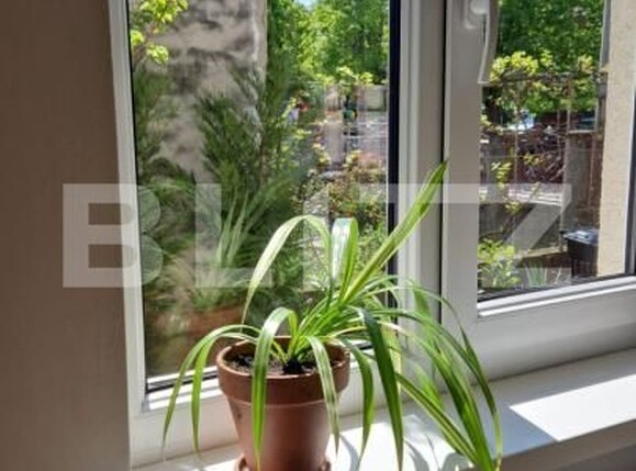 Spațiu birouri de închiriat Andrei Mureşanu - 160188SIB | BLITZ Cluj-Napoca | Poza23