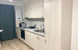 Garsoniera moderna parcare,zona strazii Cosasilor, Piață 1 Mai