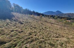 Teren pentru casute de vacanta - Poiana Marului - vedere la M. Piatra Craiului