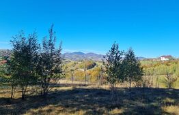 Teren pentru casute de vacanta - Poiana Marului - vedere la M. Piatra Craiului