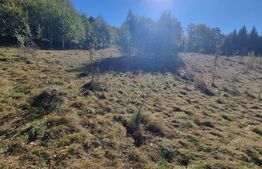 Teren pentru casute de vacanta - Poiana Marului - vedere la M. Piatra Craiului