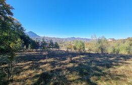 Teren pentru casute de vacanta - Poiana Marului - vedere la M. Piatra Craiului