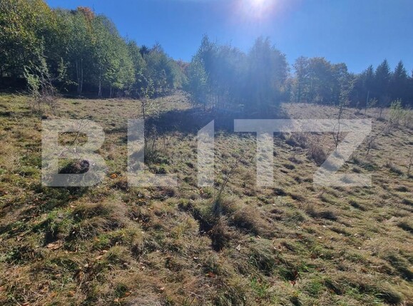 Teren de vânzare Poiana Marului - 160284TV | BLITZ Brașov | Poza4