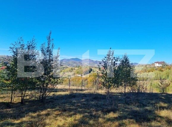 Teren de vânzare Poiana Marului - 160284TV | BLITZ Brașov | Poza3