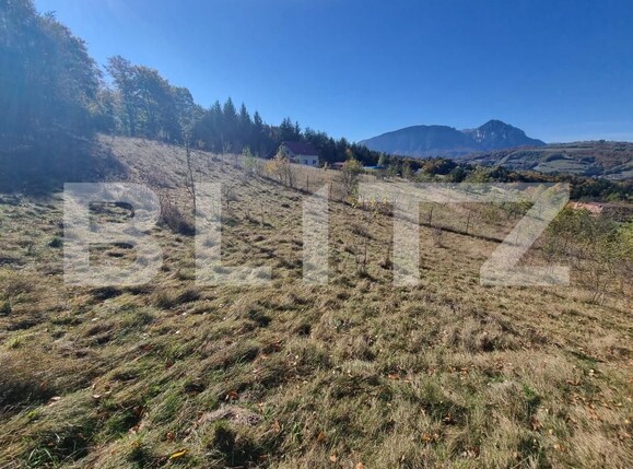 Teren de vânzare Poiana Marului - 160284TV | BLITZ Brașov | Poza1