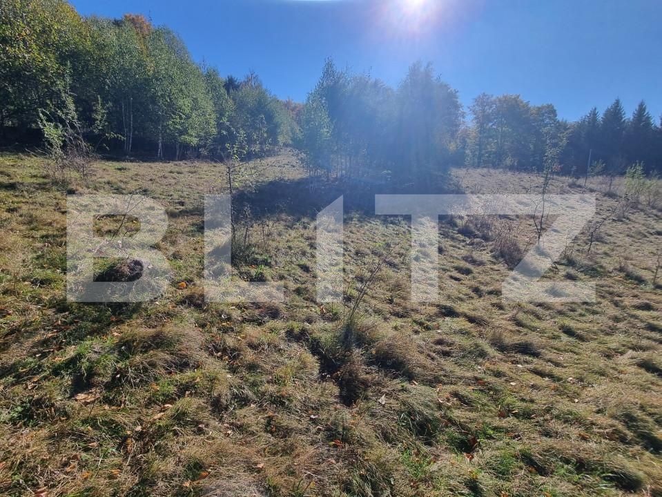 Teren de vânzare Poiana Marului - 160284TV | BLITZ Brașov | Poza4