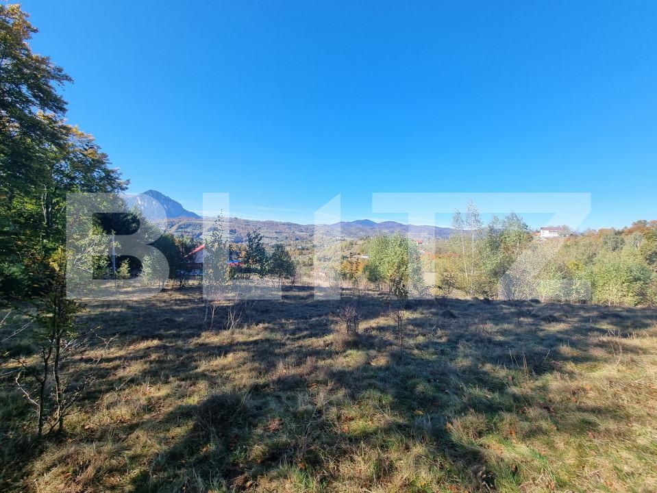 Teren de vânzare Poiana Marului - 160284TV | BLITZ Brașov | Poza2