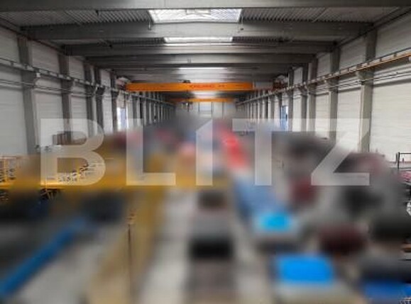 Spațiu industrial de vânzare Jucu de Mijloc - 160289SVI | BLITZ Cluj-Napoca | Poza9