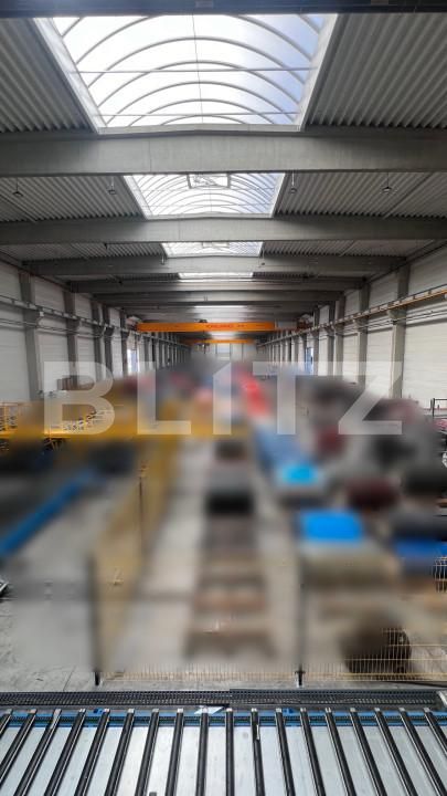 Spațiu industrial de vânzare Jucu de Mijloc - 160289SVI | BLITZ Cluj-Napoca | Poza9