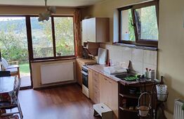 Casă cu 4 camere si apartament de 2 camere, 180mp utili