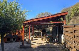 Casă cu 4 camere si apartament de 2 camere, 180mp utili