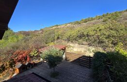 Casă cu 4 camere si apartament de 2 camere, 180mp utili