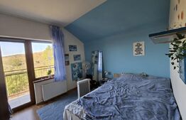 Casă cu 4 camere si apartament de 2 camere, 180mp utili