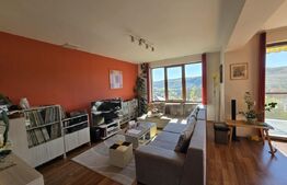 Casă cu 4 camere si apartament de 2 camere, 180mp utili