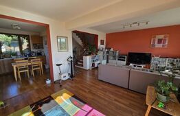Casă cu 4 camere si apartament de 2 camere, 180mp utili