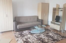Apartament 1 camera,35mp, mobilat zona Atelierul de pizza