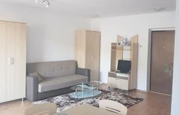 Apartament 1 camera,35mp, mobilat zona Atelierul de pizza