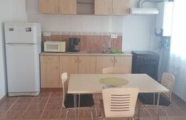 Apartament 1 camera,35mp, mobilat zona Atelierul de pizza