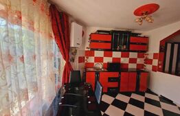 Sudio, 35 mp, pet friendly zona Dambu Rotund