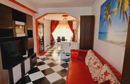 Sudio, 35 mp, pet friendly zona Dambu Rotund