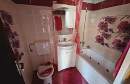 Sudio, 35 mp, pet friendly zona Dambu Rotund