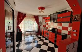 Sudio, 35 mp, pet friendly zona Dambu Rotund