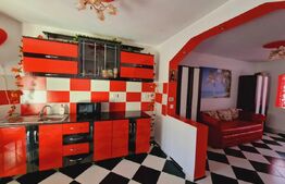 Sudio, 35 mp, pet friendly zona Dambu Rotund