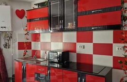 Sudio, 35 mp, pet friendly zona Dambu Rotund